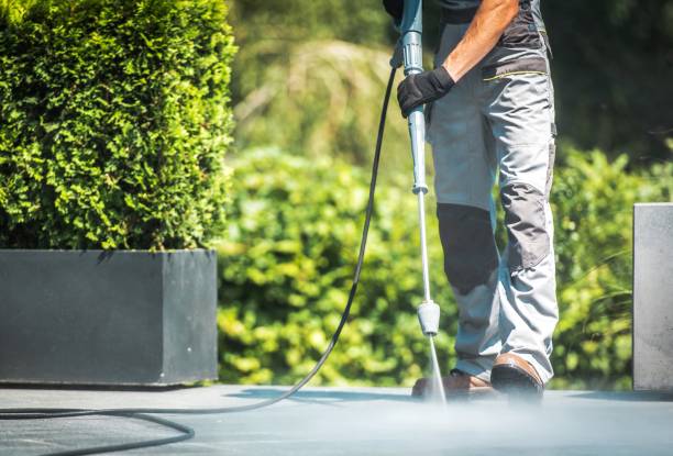 Best Fleet Vehicle Washing  in Redgranite, WI